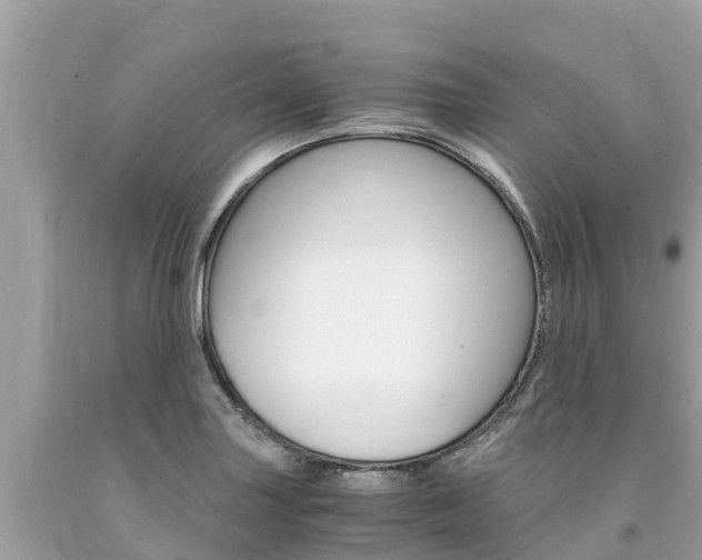 X0000094181227200710260924