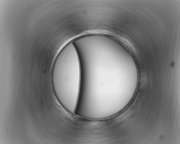X0000094181228200710260924