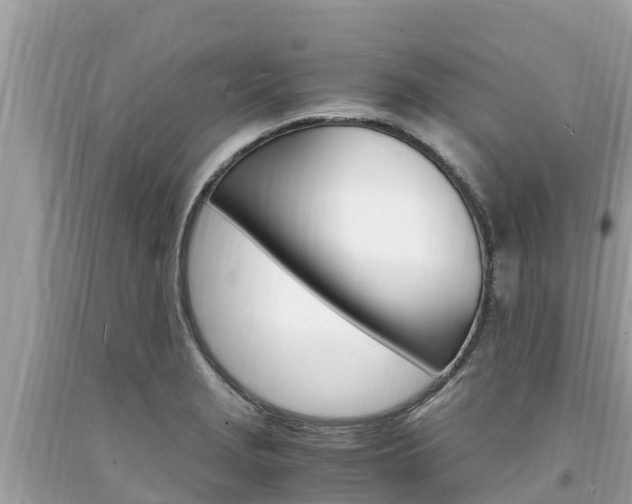 X0000094181229200710260924