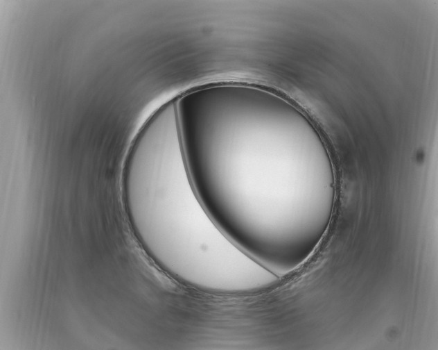 X0000094181230200710260924