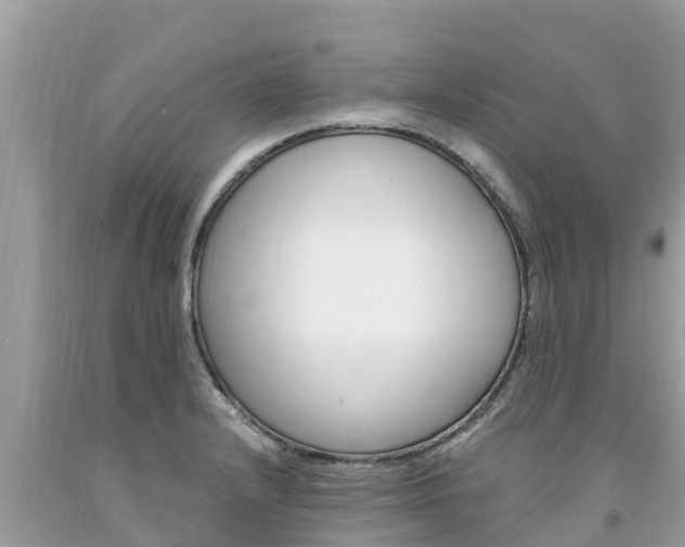 X0000094181232200710260924
