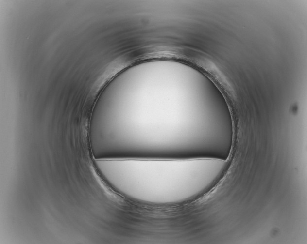 X0000094181233200710260924