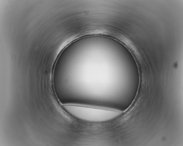 X0000094181234200710260924