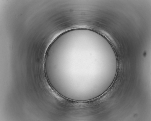 X0000094181236200710260924