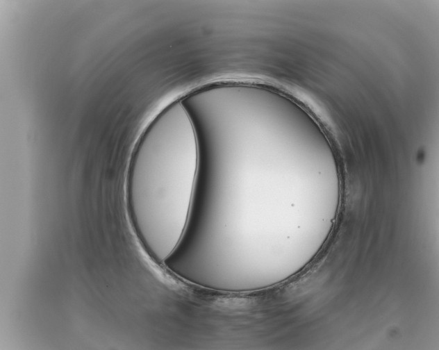 X0000094181237200710260924