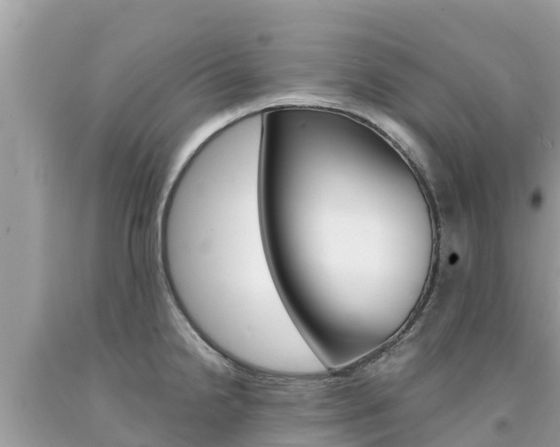X0000094181238200710260924