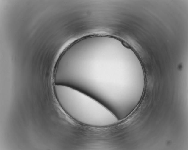 X0000094181240200710260925