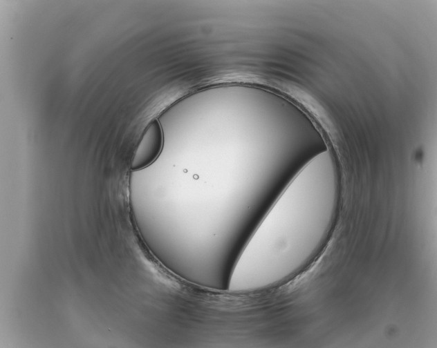 X0000094181241200710260925