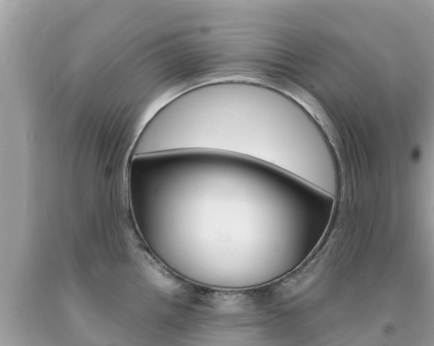 X0000094181242200710260925