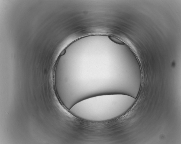 X0000094181243200710260925