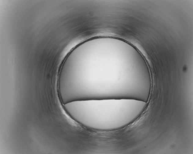 X0000094181245200710260925