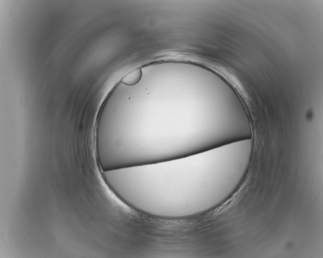 X0000094181247200710260925