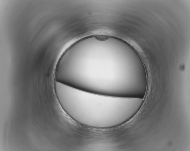 X0000094181248200710260925