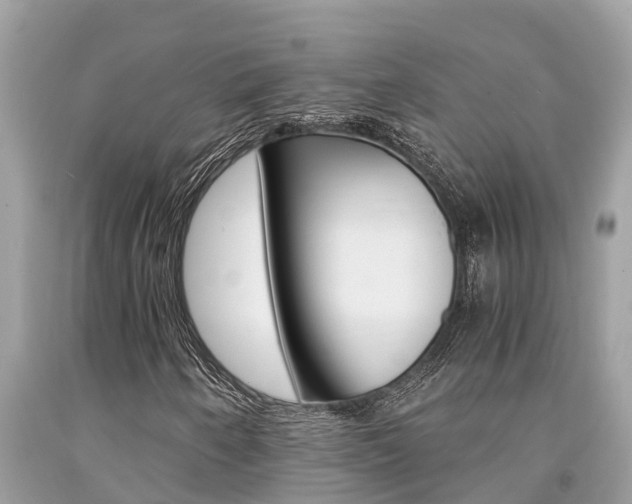 X0000094181250200710260924