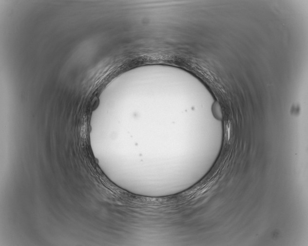 X0000094181251200710260924