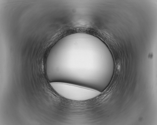 X0000094181252200710260924
