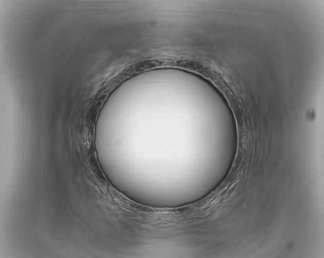 X0000094181253200710260924
