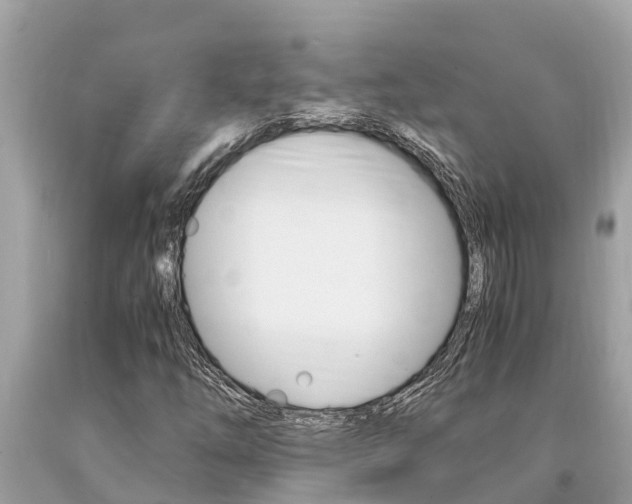 X0000094181254200710260924