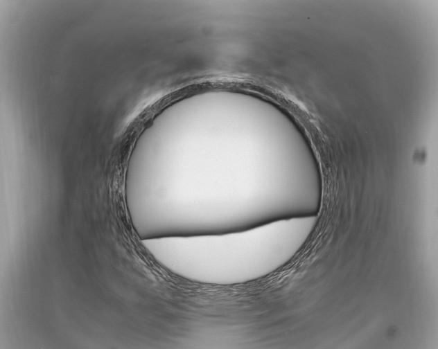 X0000094181255200710260924