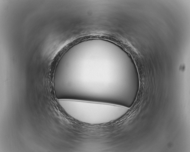 X0000094181256200710260924