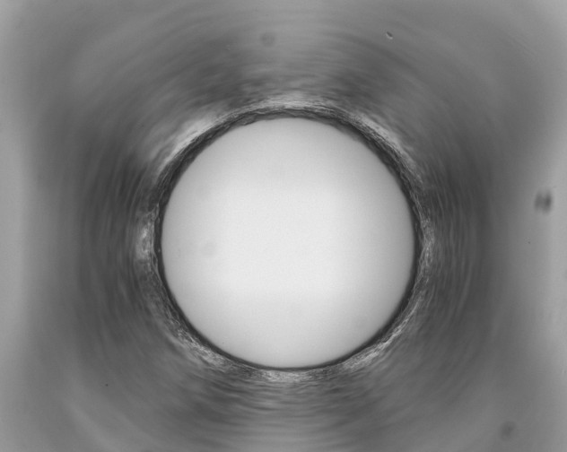 X0000094181258200710260924