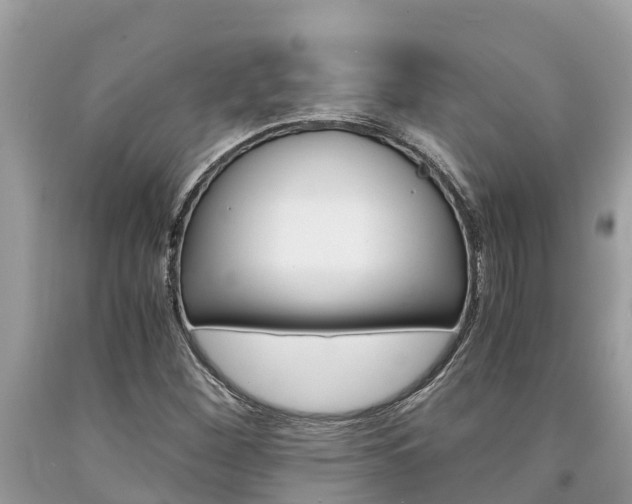 X0000094181260200710260924