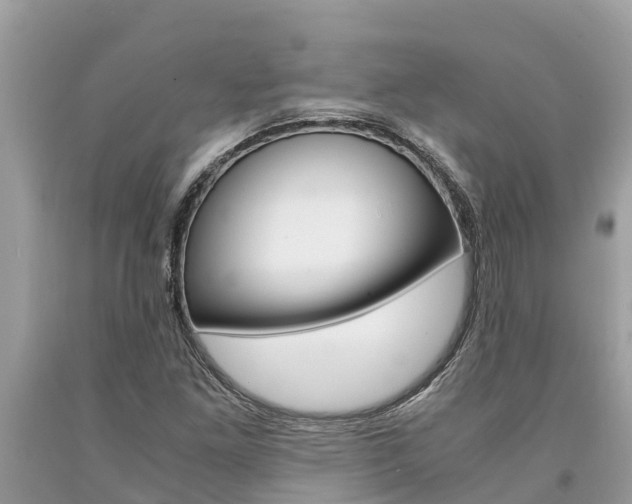X0000094181261200710260924