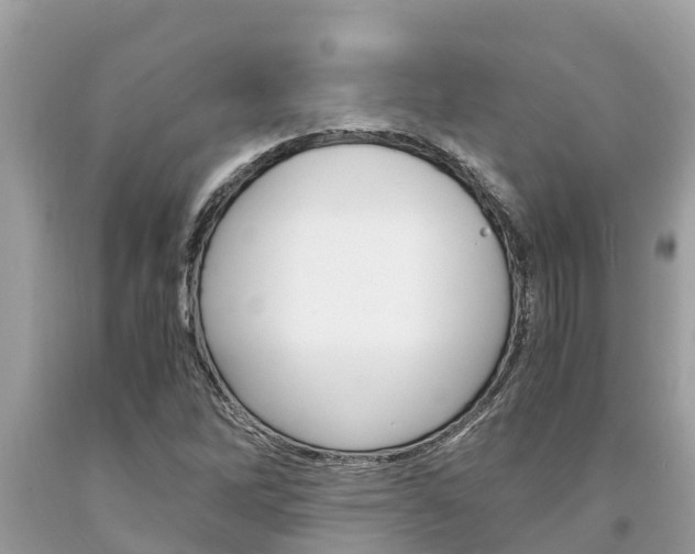 X0000094181262200710260924