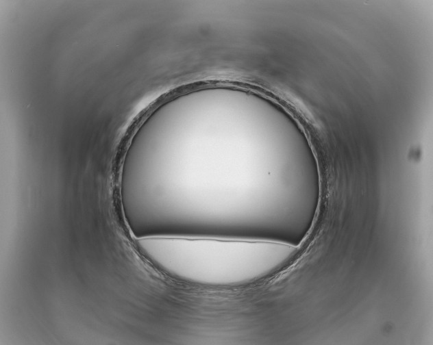 X0000094181264200710260924