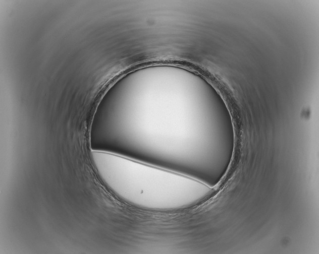 X0000094181265200710260924