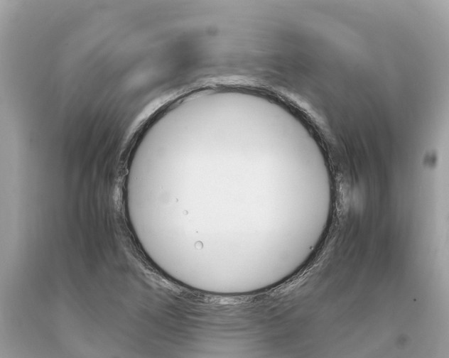 X0000094181266200710260924