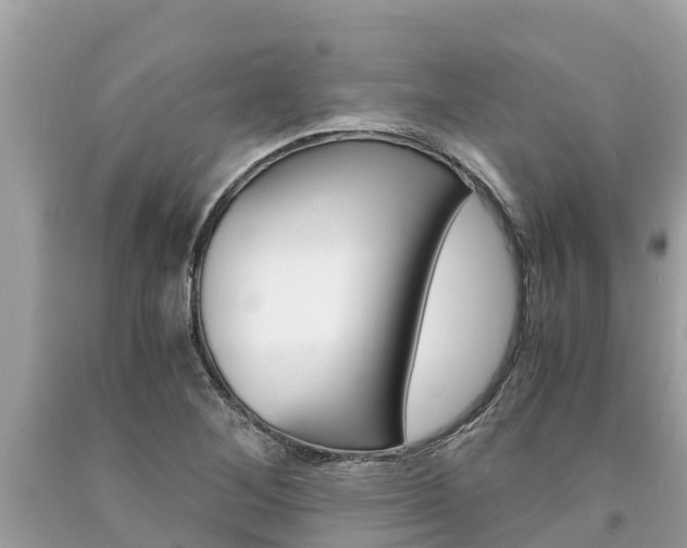 X0000094181268200710260924