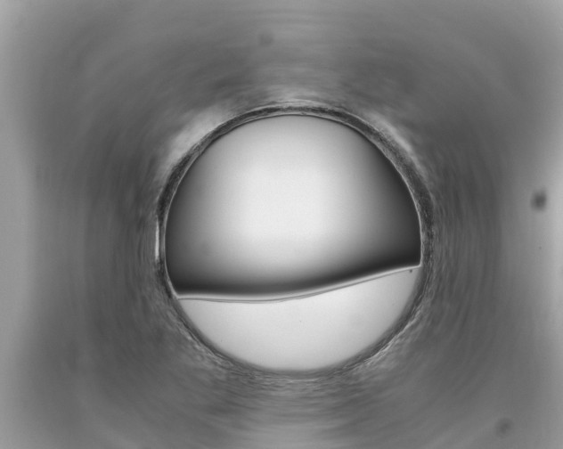 X0000094181269200710260924