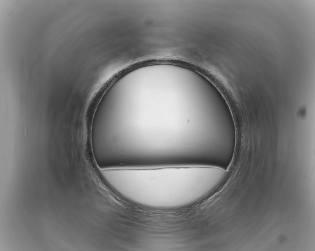 X0000094181270200710260924