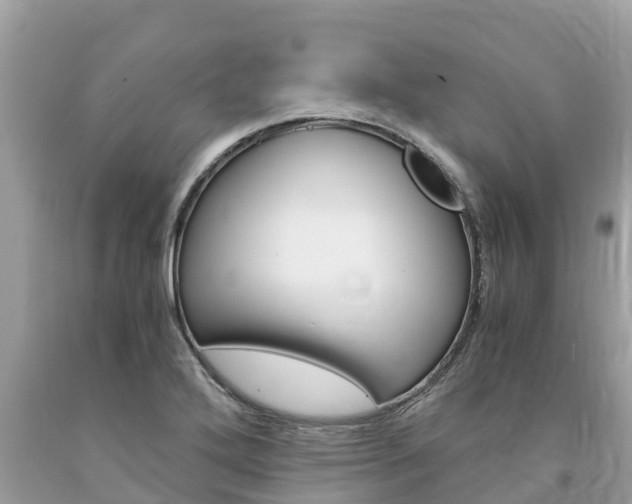 X0000094181272200710260923