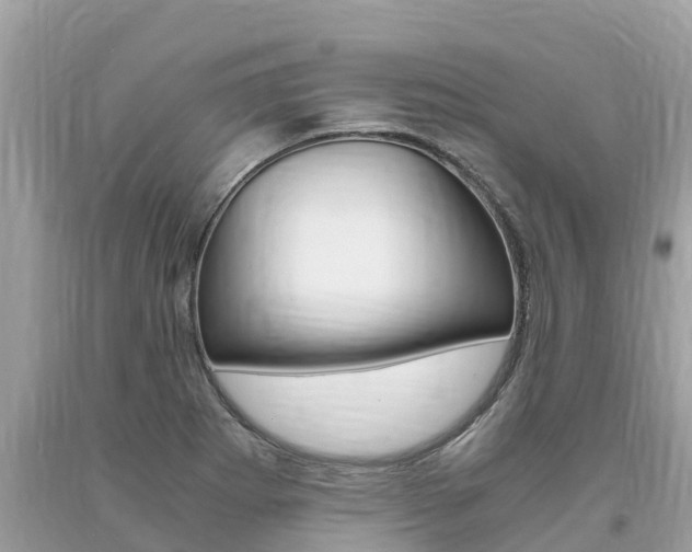 X0000094181273200710260923