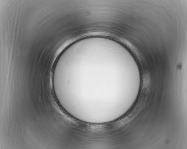 X0000094181274200710260923