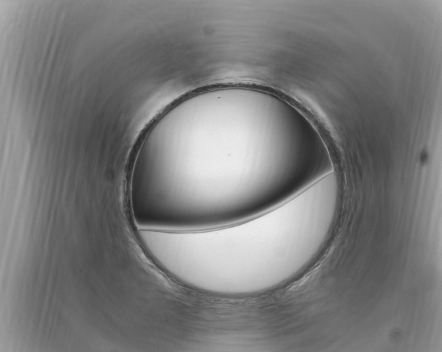 X0000094181277200710260923