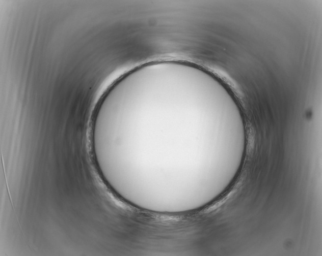 X0000094181278200710260923