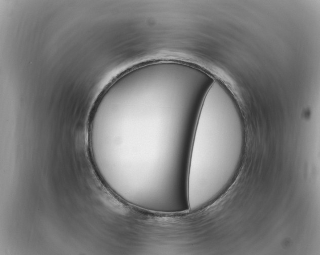X0000094181280200710260923