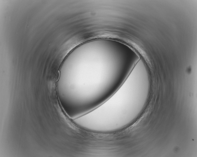 X0000094181281200710260923
