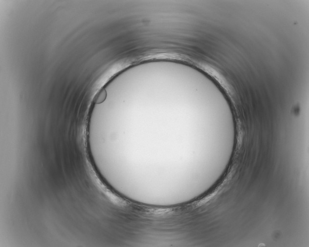 X0000094181282200710260923