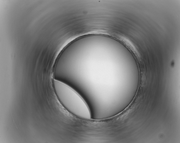 X0000094181284200710260923