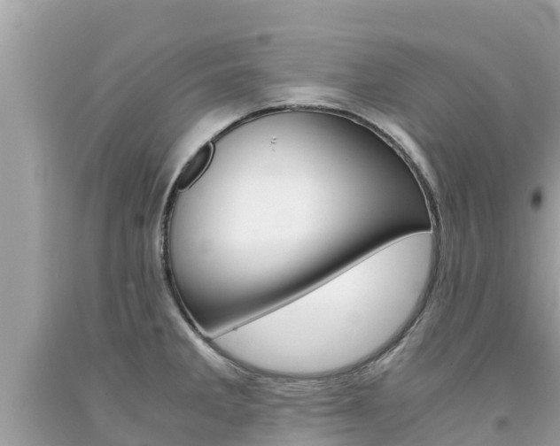 X0000094181285200710260923