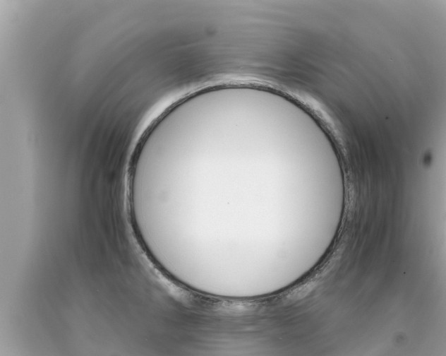 X0000094181286200710260923