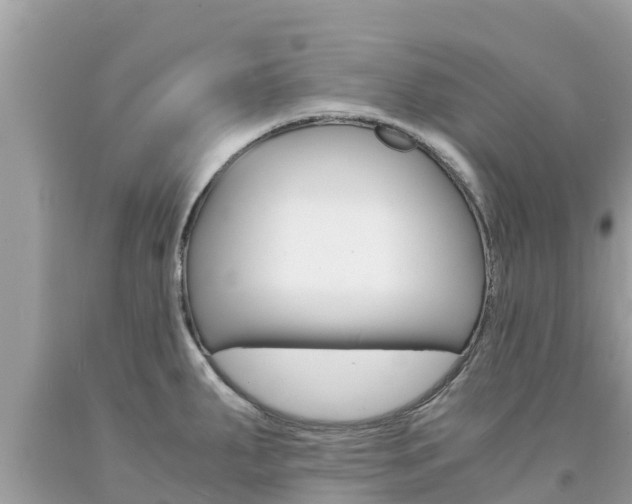 X0000094181287200710260923