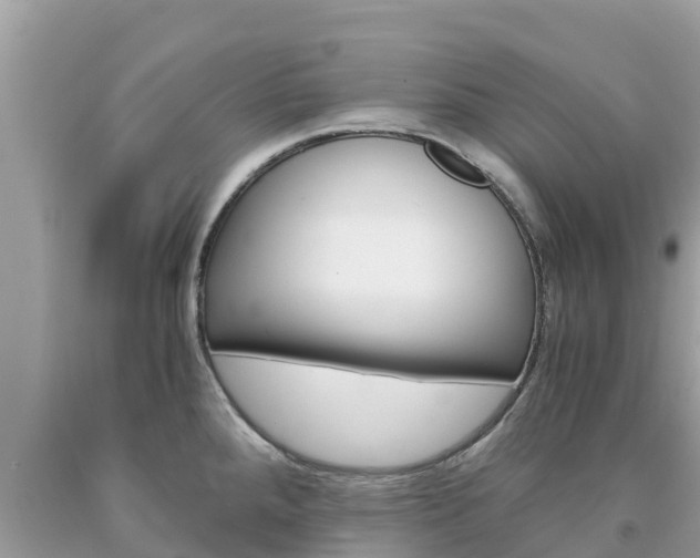 X0000094181288200710260923