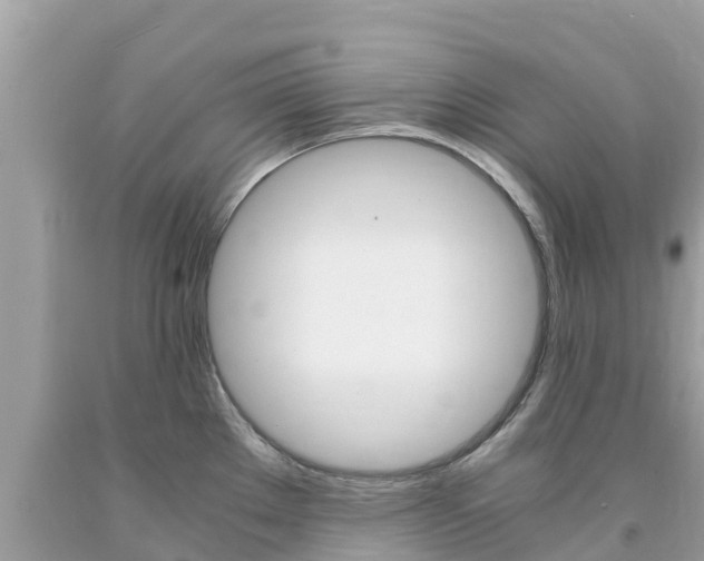 X0000094181289200710260923
