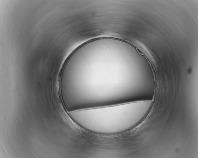 X0000094181292200710260923