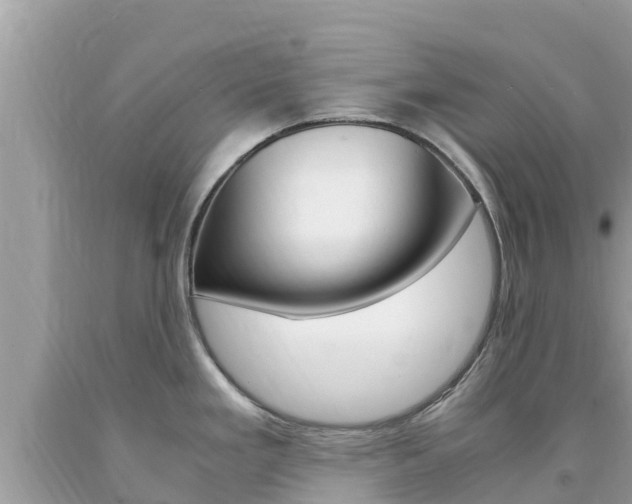 X0000094181293200710260923